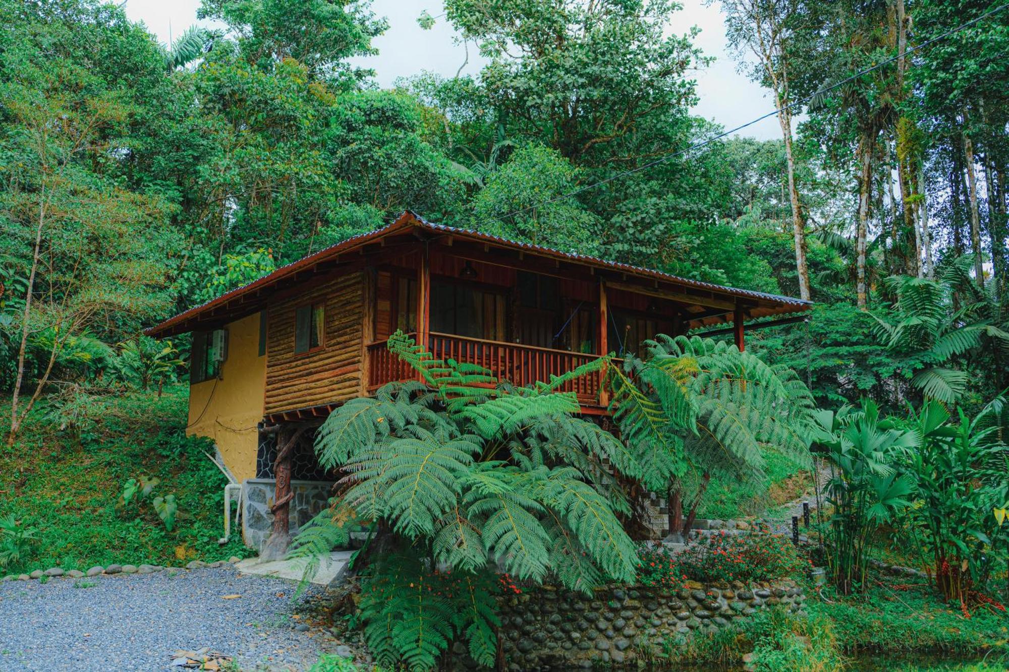 Finca Las Palmas Ecolodge Puyo Kültér fotó