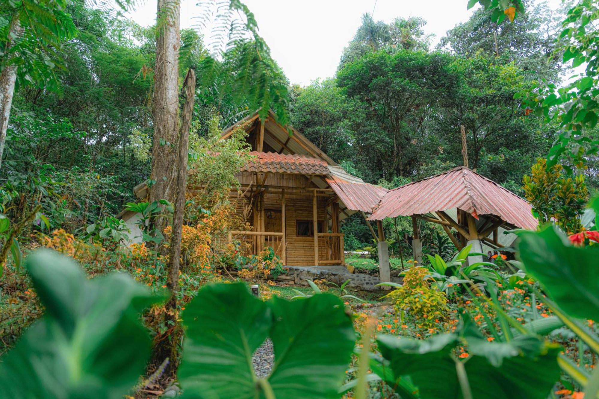 Finca Las Palmas Ecolodge Puyo Kültér fotó