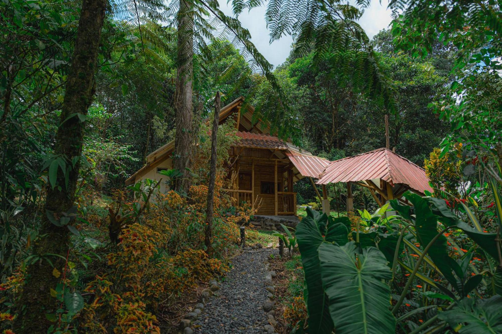 Finca Las Palmas Ecolodge Puyo Kültér fotó