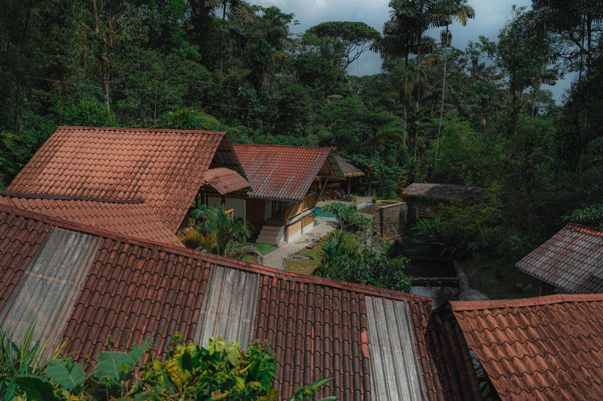 Finca Las Palmas Ecolodge Puyo Kültér fotó