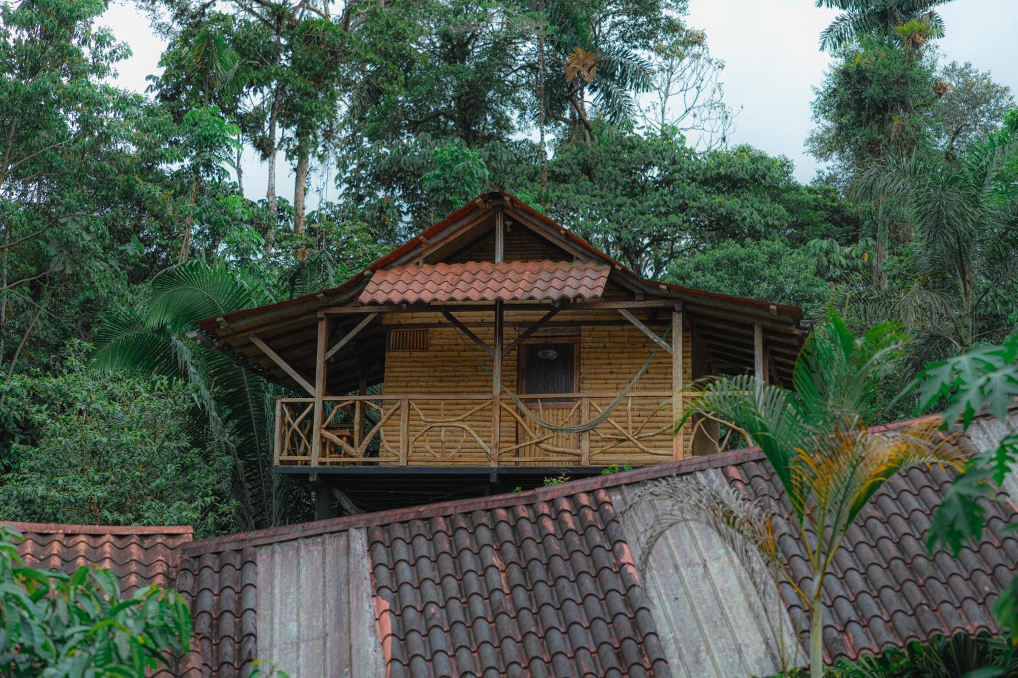 Finca Las Palmas Ecolodge Puyo Kültér fotó
