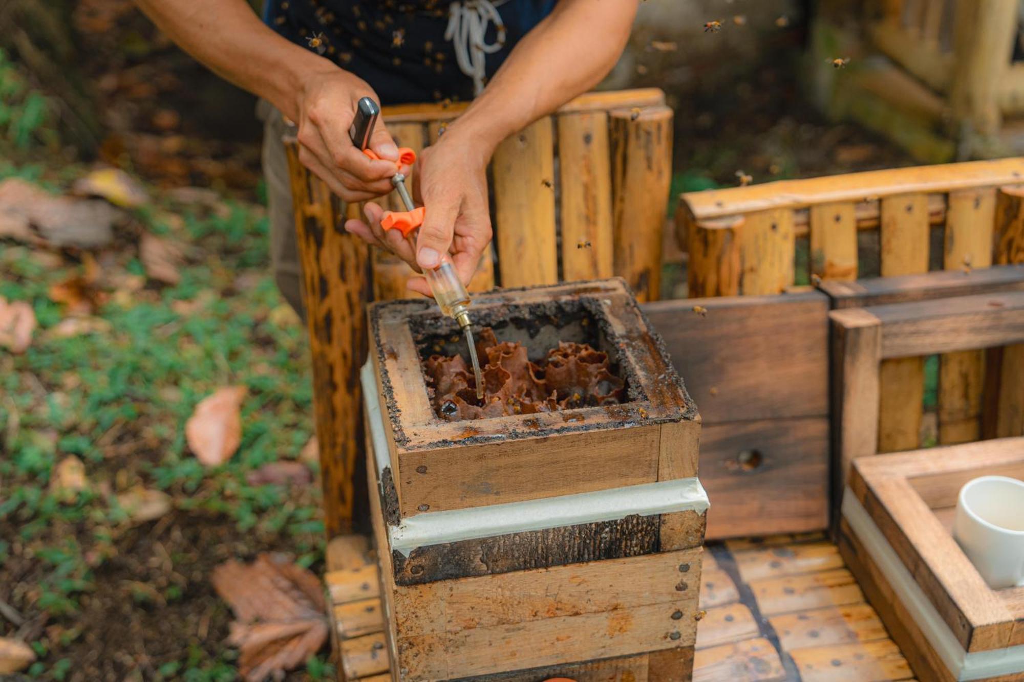 Finca Las Palmas Ecolodge Puyo Kültér fotó