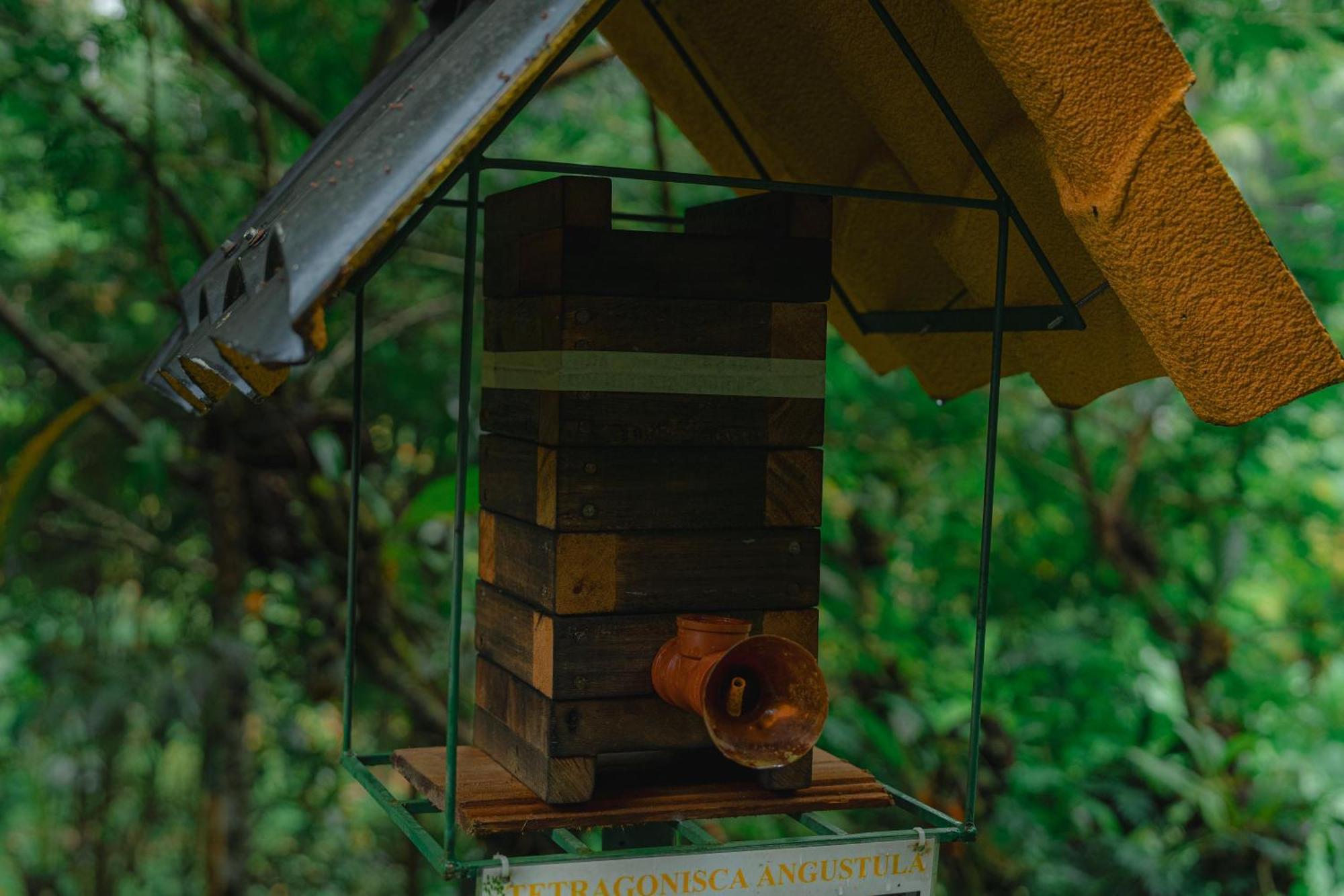 Finca Las Palmas Ecolodge Puyo Kültér fotó