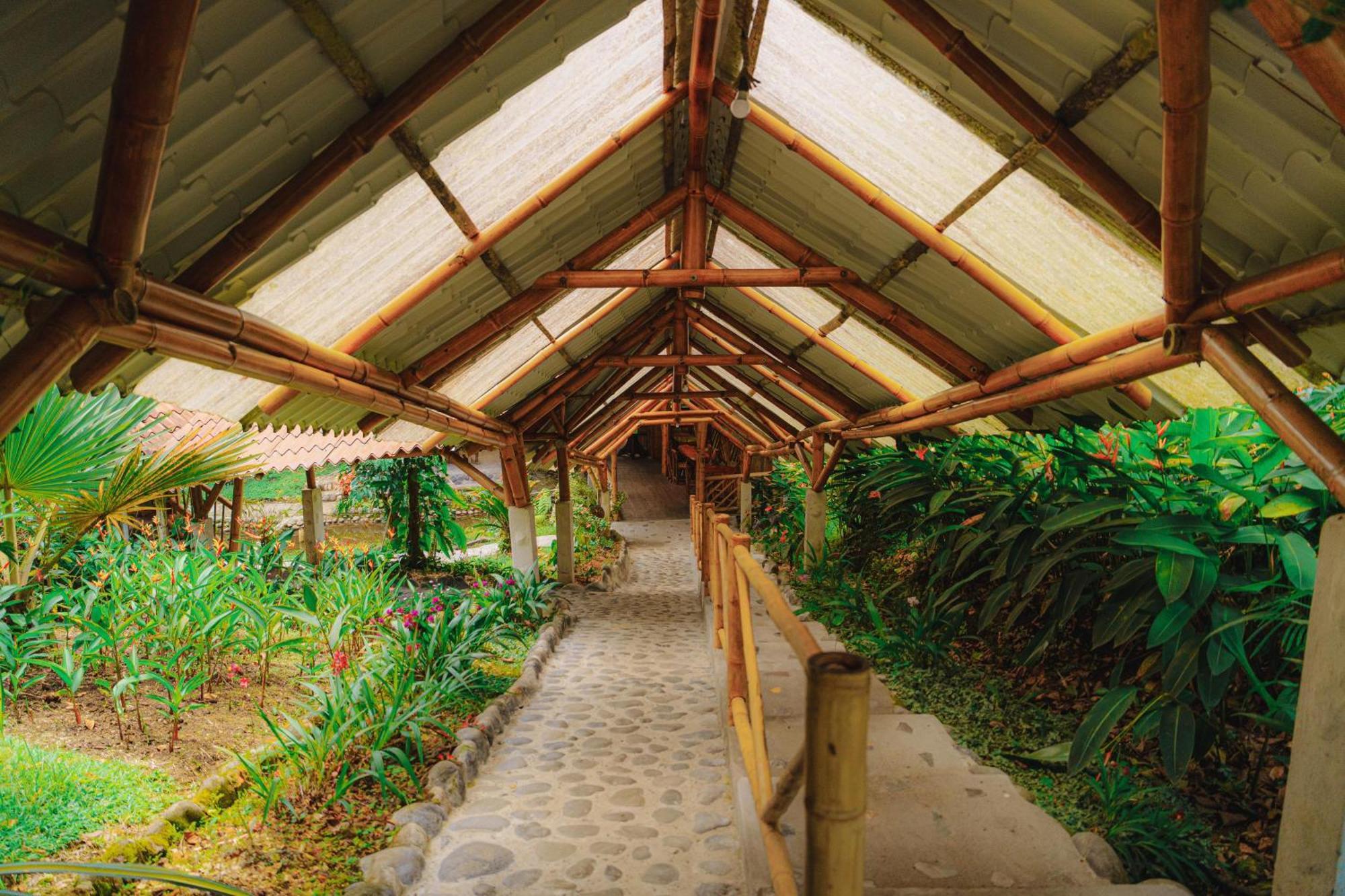 Finca Las Palmas Ecolodge Puyo Kültér fotó