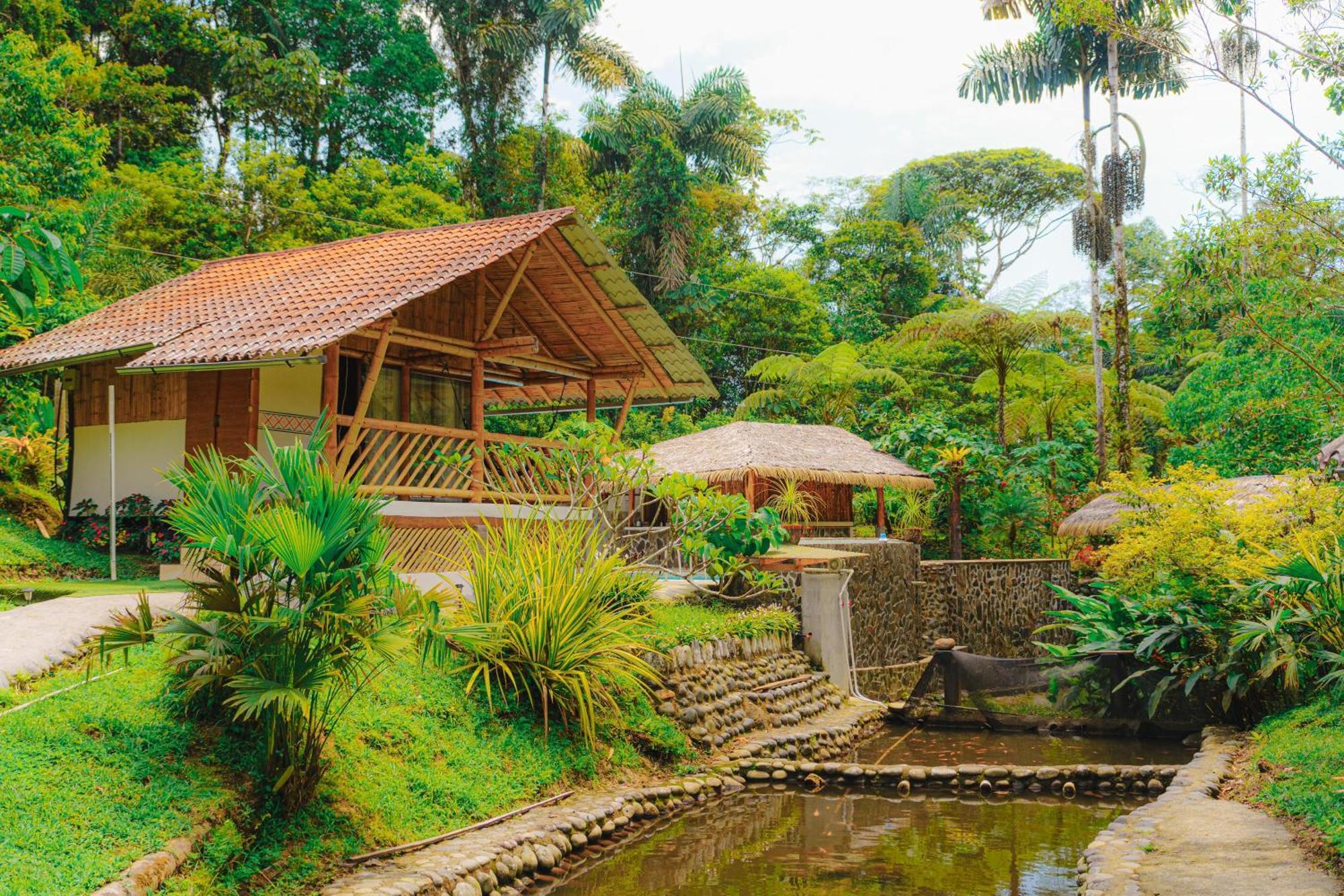 Finca Las Palmas Ecolodge Puyo Kültér fotó