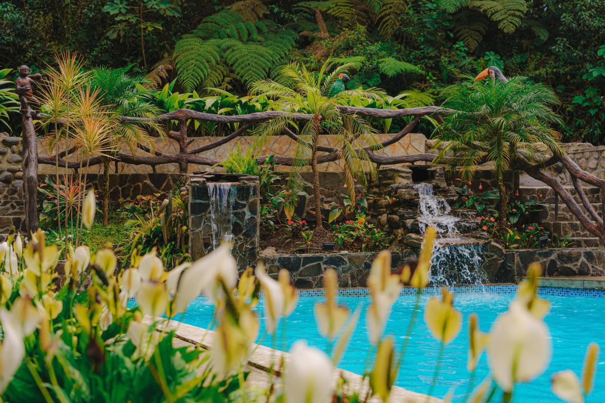 Finca Las Palmas Ecolodge Puyo Kültér fotó